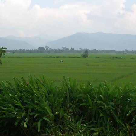 Rico Resort Chiang Kham Екстериор снимка
