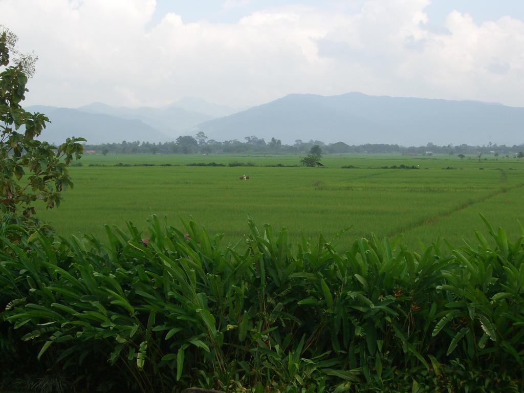 Rico Resort Chiang Kham Екстериор снимка